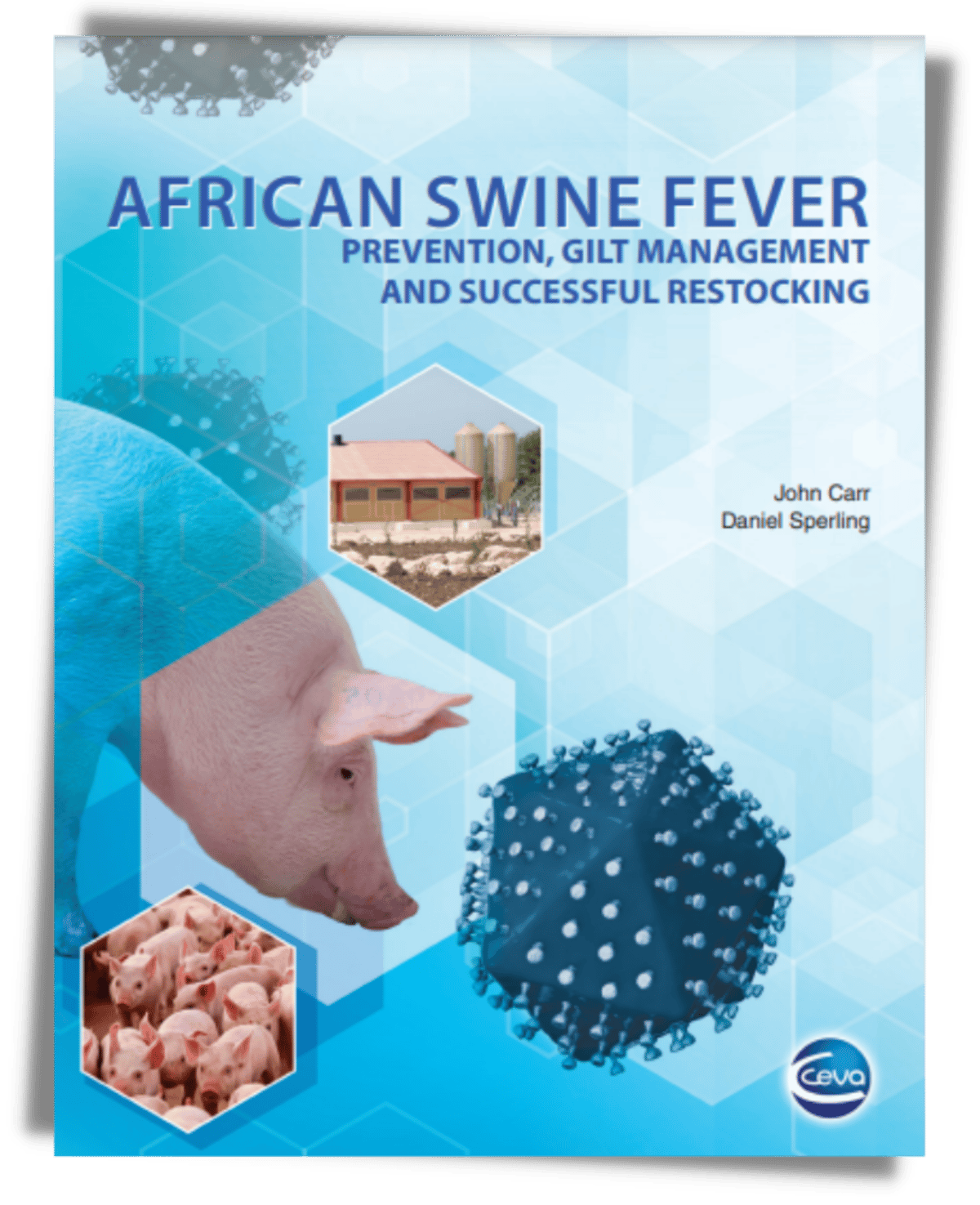 Ebook African Swine Fever